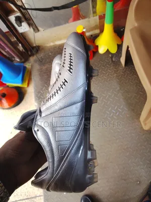 Gray Adidas Shoes