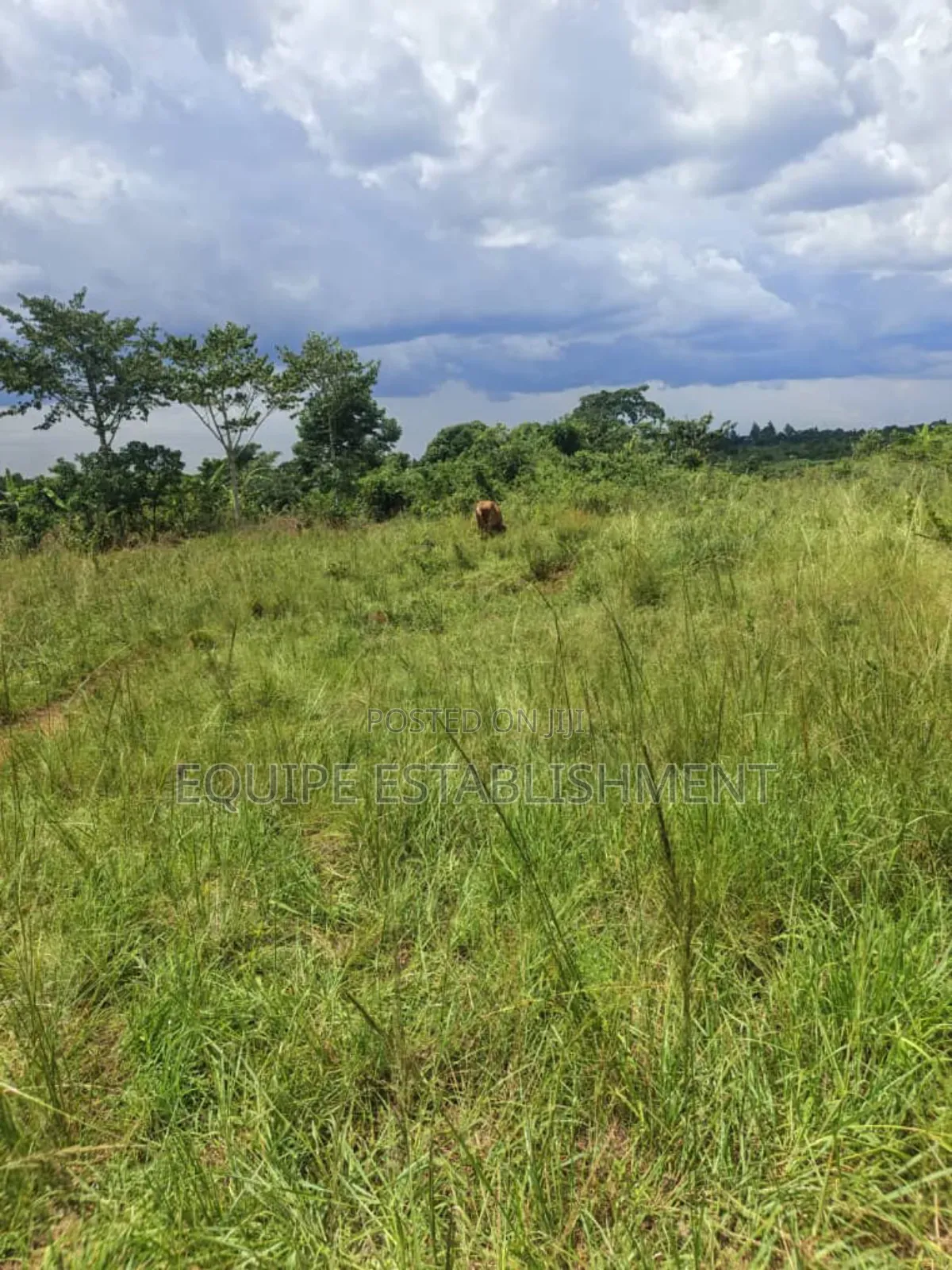 Plot Available Kikandwa Mukono
