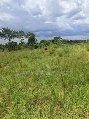 Plot Available Kikandwa Mukono