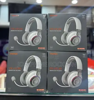 Stray Gos Mic + Bluetooth Headphones