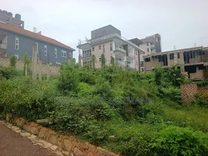 Plot on Quickest Sale