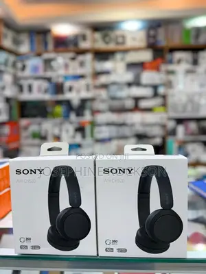 Sony Wh Ch 520 Headphones