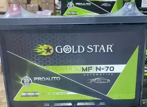 N-70 L/R Mf Automotive Battery