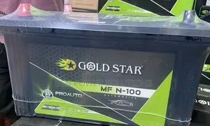 N-100 Mf Car Battery