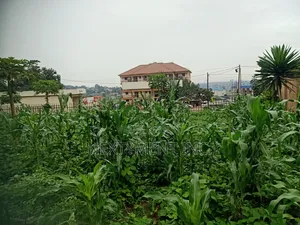Land for Leasing/Renting in Kyengera on Main Road.