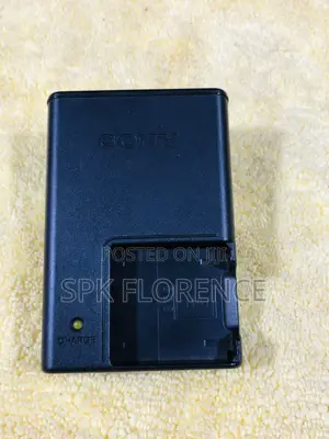 Sony Bc-CSK Battery Charger 4.2v 0.33a