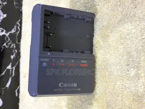 Canon Battery Charger Cg-580 8.4v 1.2a