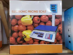 Electric Pricing Scale