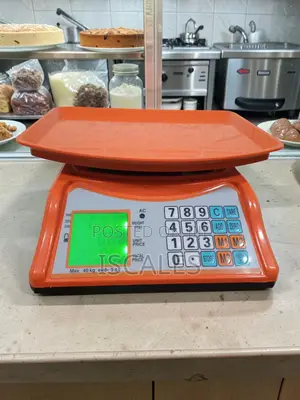 Digital Weigh Scale Precision Weighing Original Digital Weighing Scale