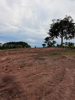 Land for Sell