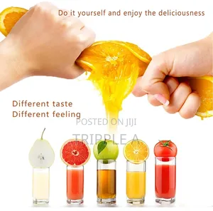 Professional Manual Citrus Juicer Commercial Grade