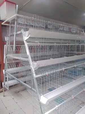 Brand New 160 Birds Poultry Cage Layer/Broiler System