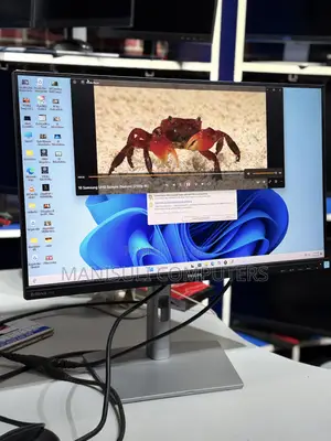 Philips Monitor Ips 24 Inch