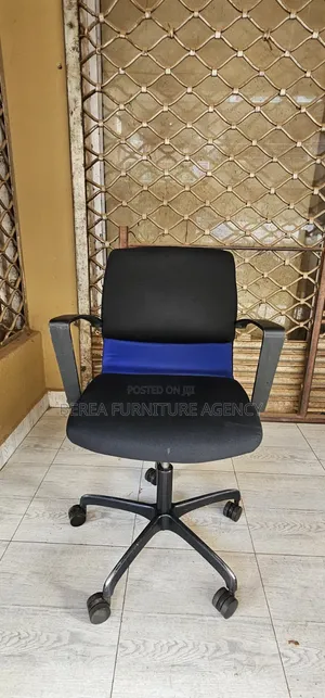 Potable Low Back Adjustable Blue-Black Office Chair
