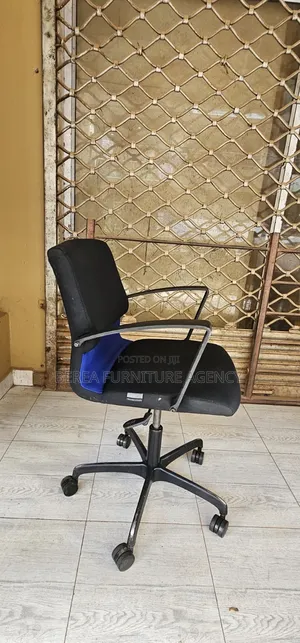 Potable Low Back Adjustable Blue-Black Office Chair