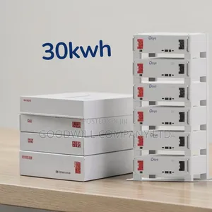 Deye 30kwh Low Voltage Lithium Battery