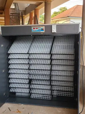 5280 Ac Incubator