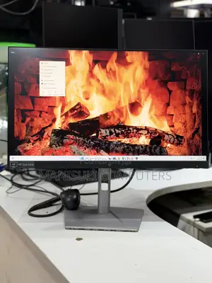 Hp Ips Monitor