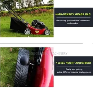 Gasoline/Petrol Powered/Easy Operate/Recoil Start Lawnmower