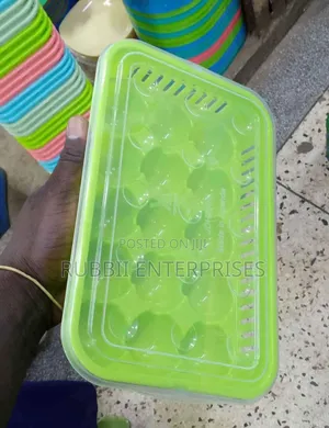 Plastic Egg Tray ~ 15 Eggs