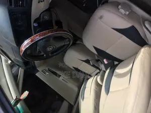 Car Interior Protection