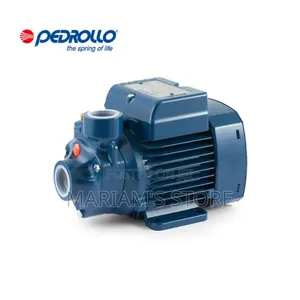 Pedrollo Electric Water Pump, Likely a 0.5hp Pkm60 or Similar Model.