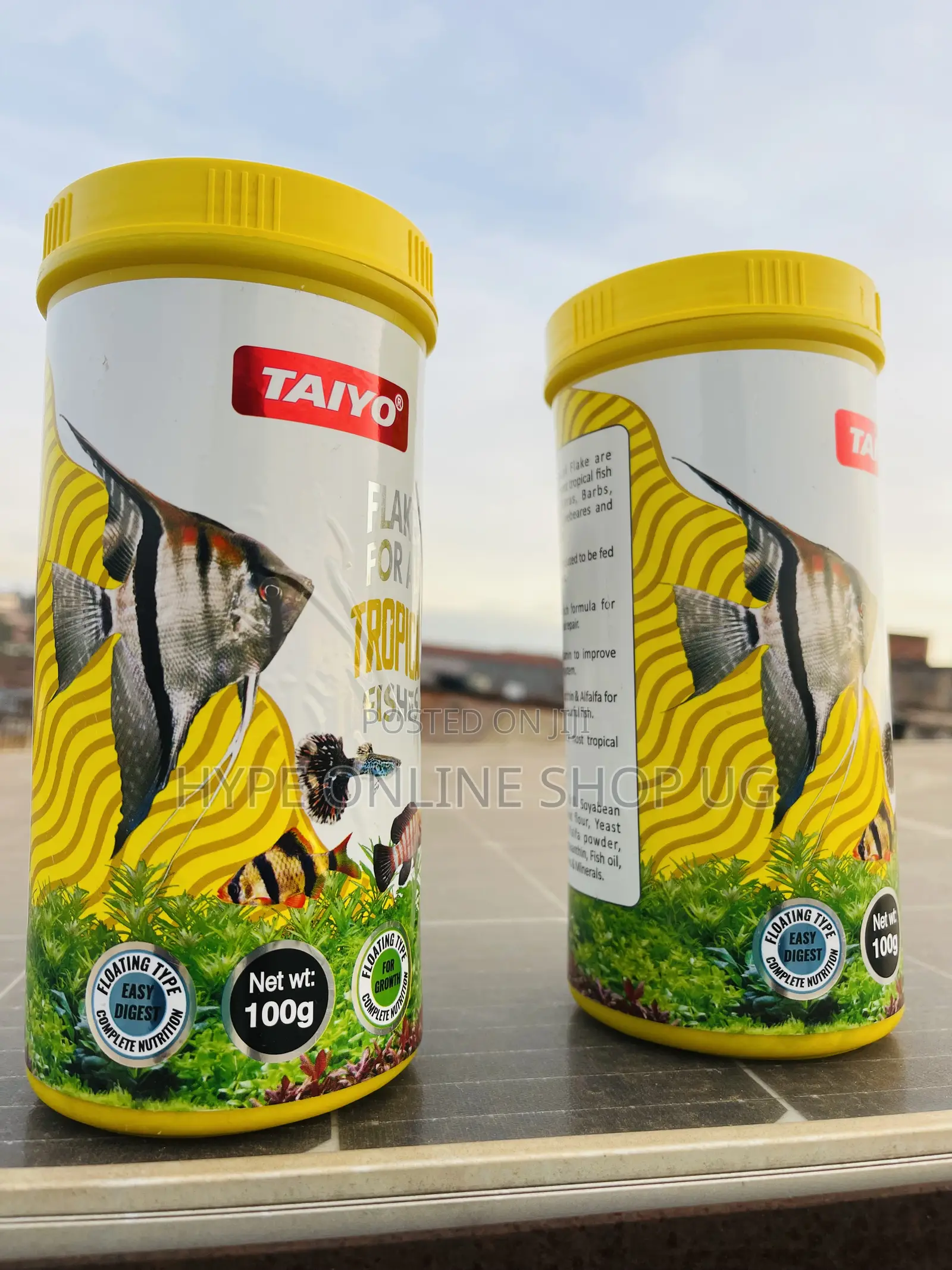 Quality Feeds for Healthy Aquarium Fish