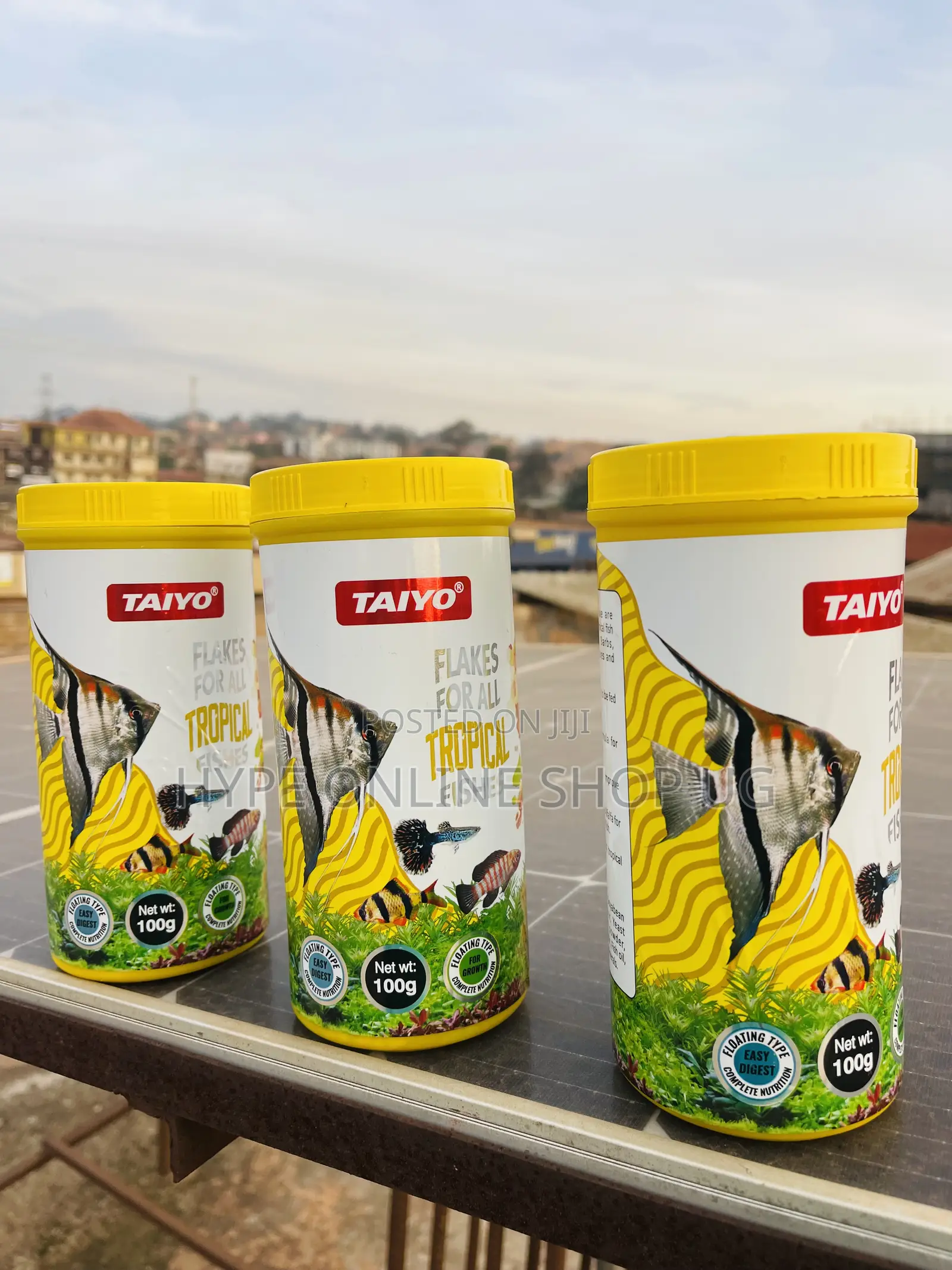 High Nutrition Flakes Fish Feeds
