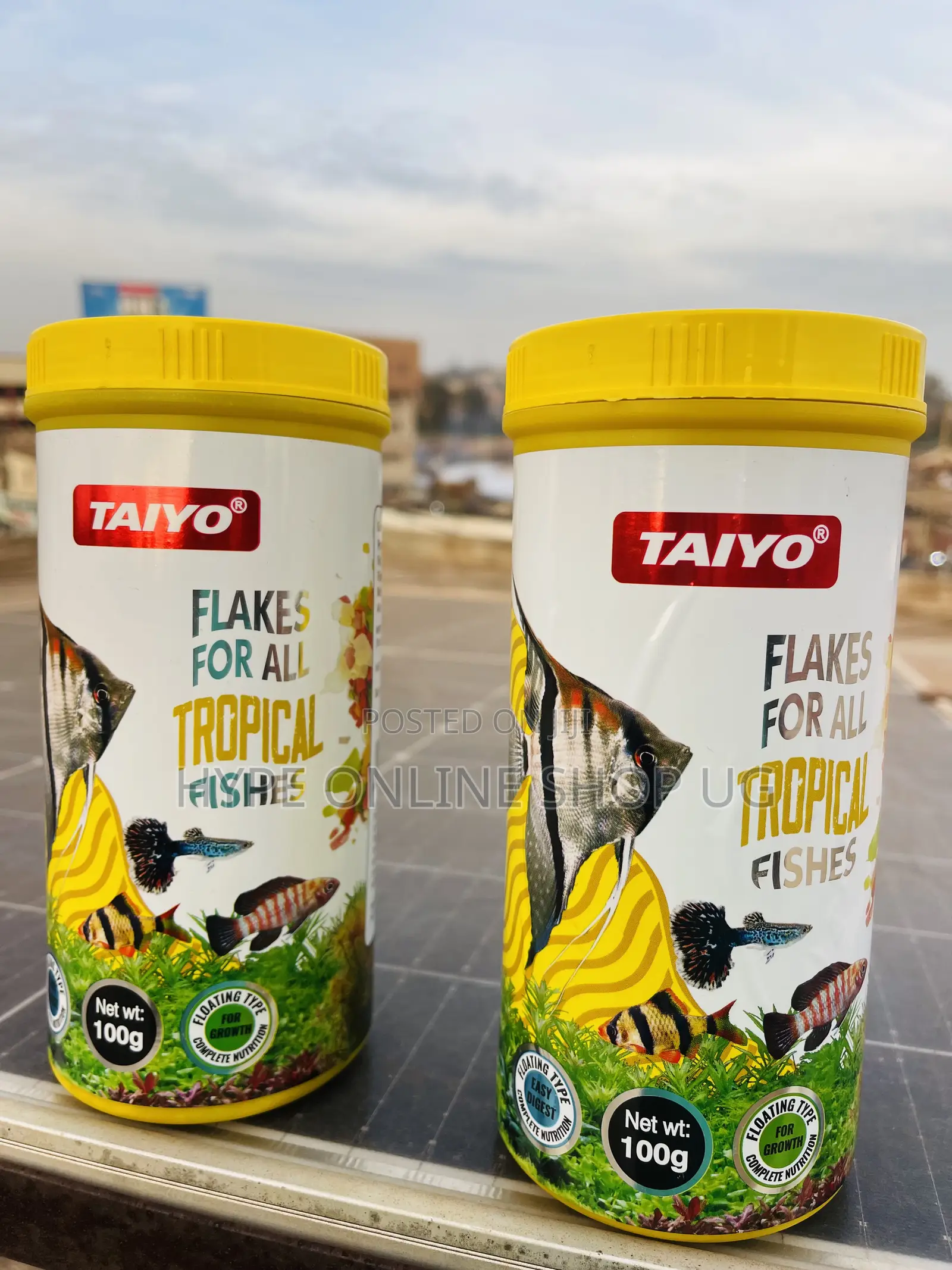 Power Up Your Fish With This Aquarium Flakes Feeds