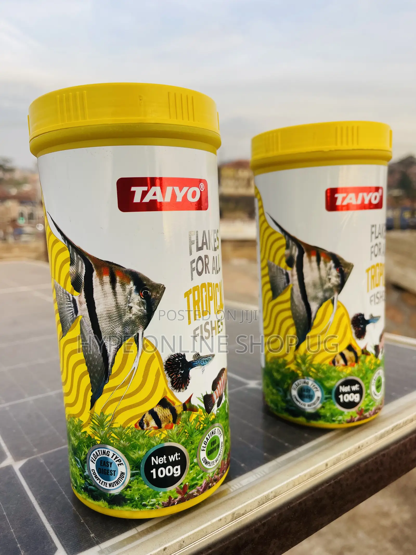 Power Up Your Fish With This Aquarium Flakes Feeds