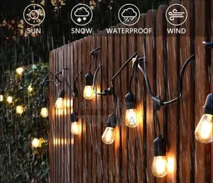 Generic 10m String Lights