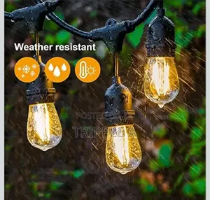 Generic 10m String Lights