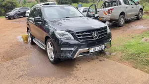 Mercedes-Benz M Class 2015 Black