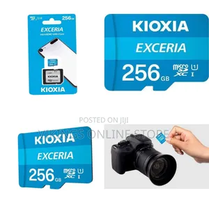 Kioxia Kioxia Exceria Microsdxc 256gb Memory Card - Multicolor