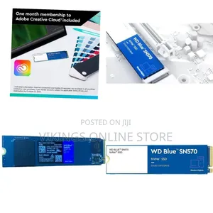 Western Digital Wd Blue Sn570 Nvme Ssd