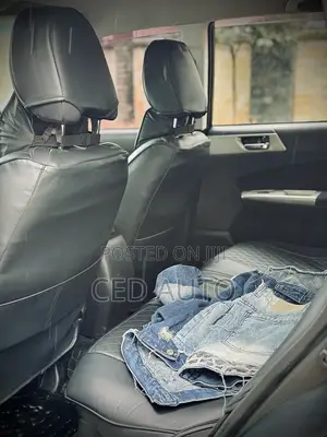 Subaru Forester 2010 Gray