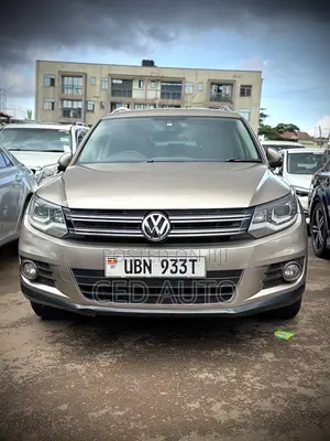 Volkswagen Tiguan 2013 Brown