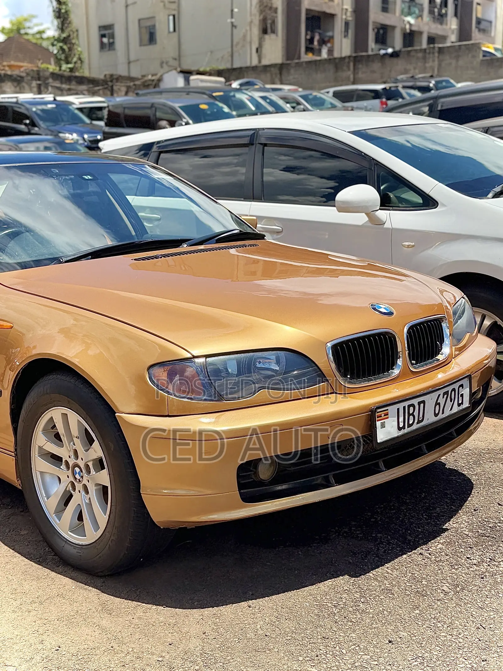 BMW 318i 2006 Brown