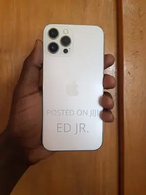 Apple iPhone 12 Pro Max 256 GB Rose Gold