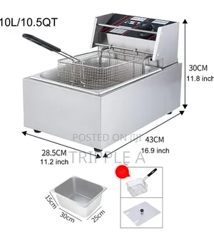 Professional Commercial Deep Fryer