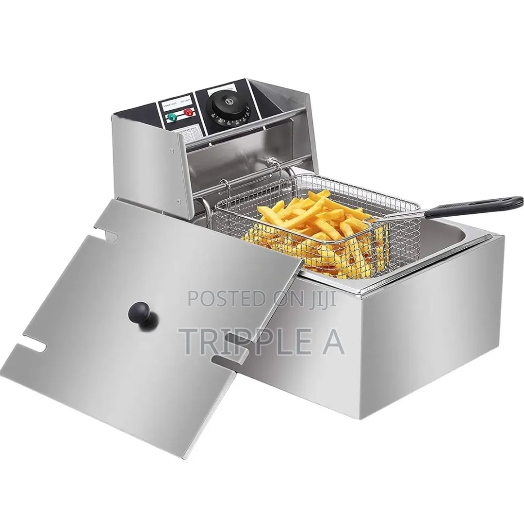 Professional Commercial Deep Fryer
