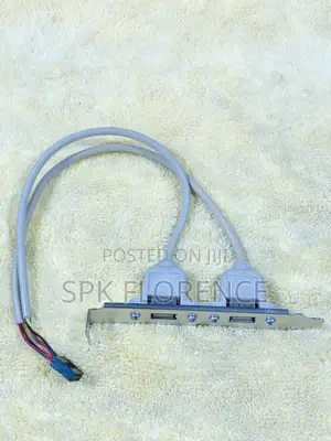 Port Usb 2.0 a Female Slot Plate Adapter Used to Add Extra Usb Port