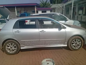 Toyota Allex 2003 Silver
