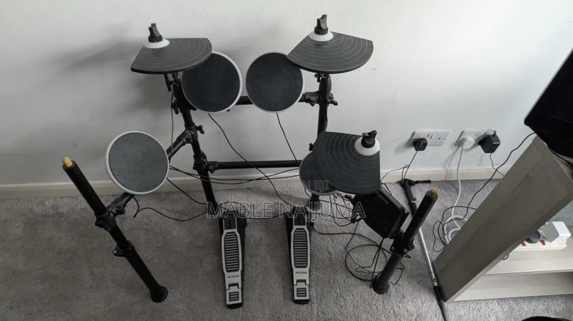 Alesis Electric Drum Kit