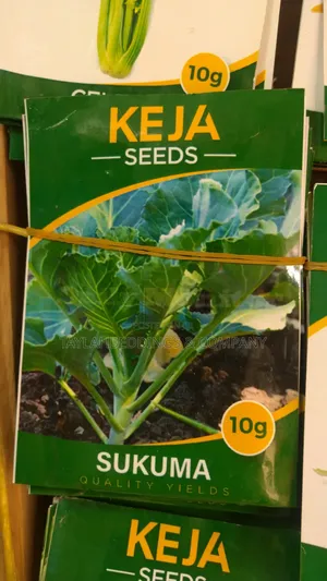 Sukuma Wiki Seeds for Planting 10g