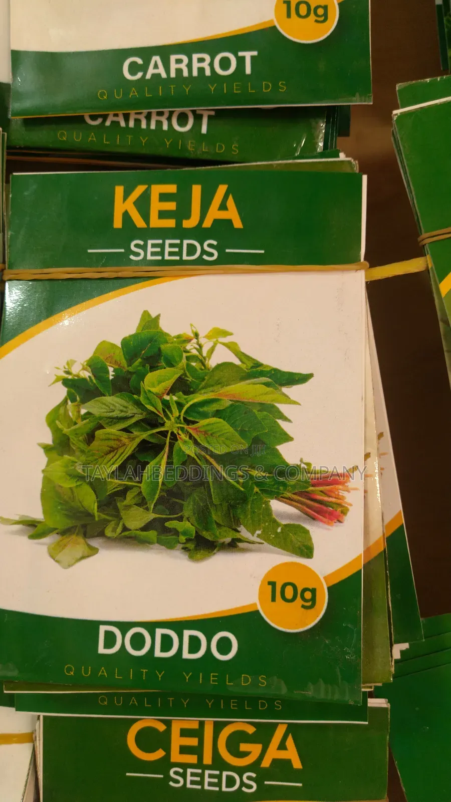 Green Amaranth Doddo– Summer Cultivation
