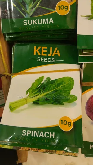 Spinach Premium Quality Seeds 10g