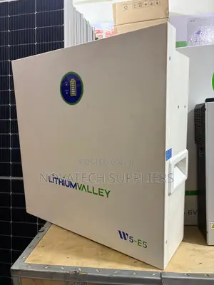 Lithium Valley 5kwh Lifepo4 Battery – Smart BMS Long Life