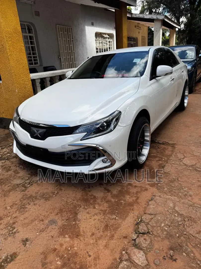 Toyota Mark X 2017 White