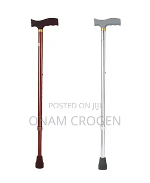 Walking Stick